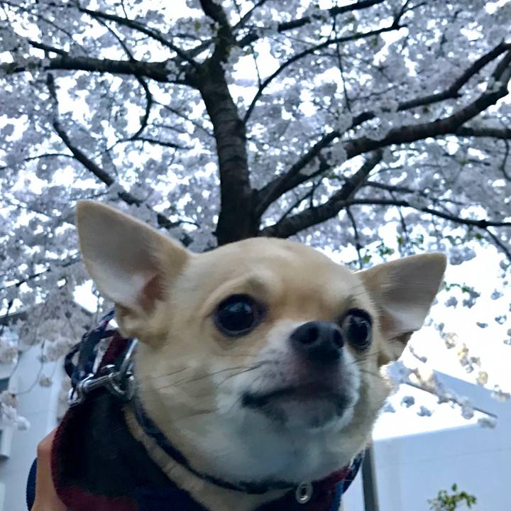 835b9112 ff8d 4f53 a2cc 9c602a04ee79