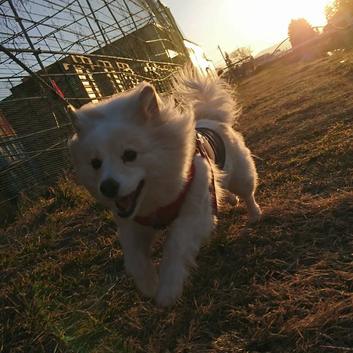 835be8bc e5e4 4b1e 8d96 55ae5712e482