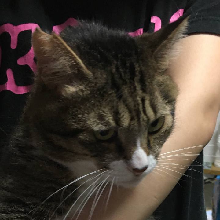 835c1790 ccb2 42d2 8fd9 648025b585ca