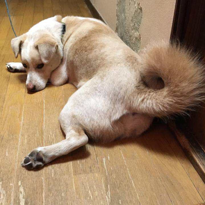 835cf212 3959 4d3c af26 05c4da4e04a8