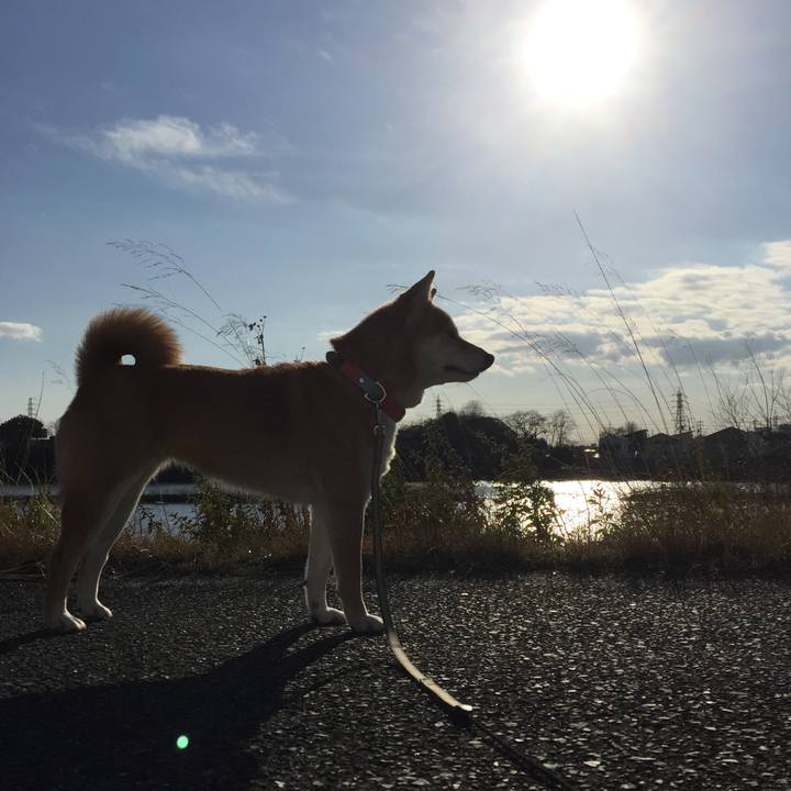 835d28dd 9cca 4deb 98d2 36ef0b50b858