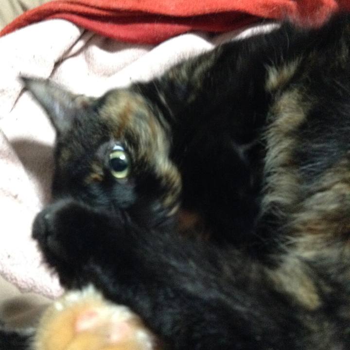 835d6f62 9e6a 437e b95f 587cefd49e31