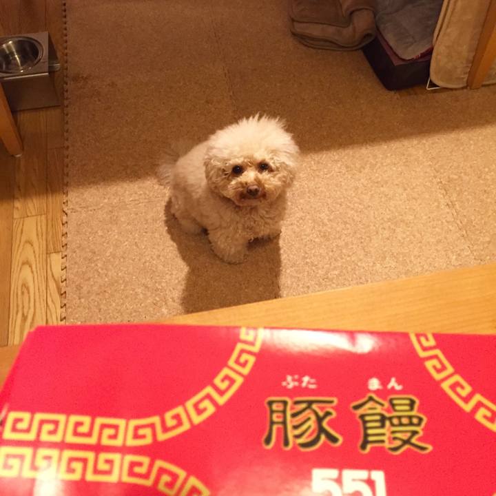 835e85b5 747d 4f98 bb93 6e7421661c3a