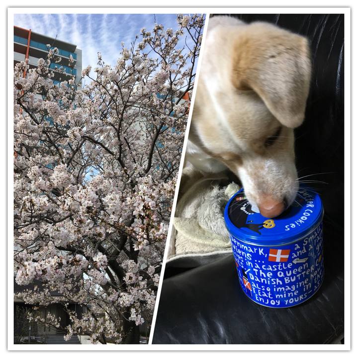 835e9fe7 fbe7 49f0 ace4 9aca81b24e0e