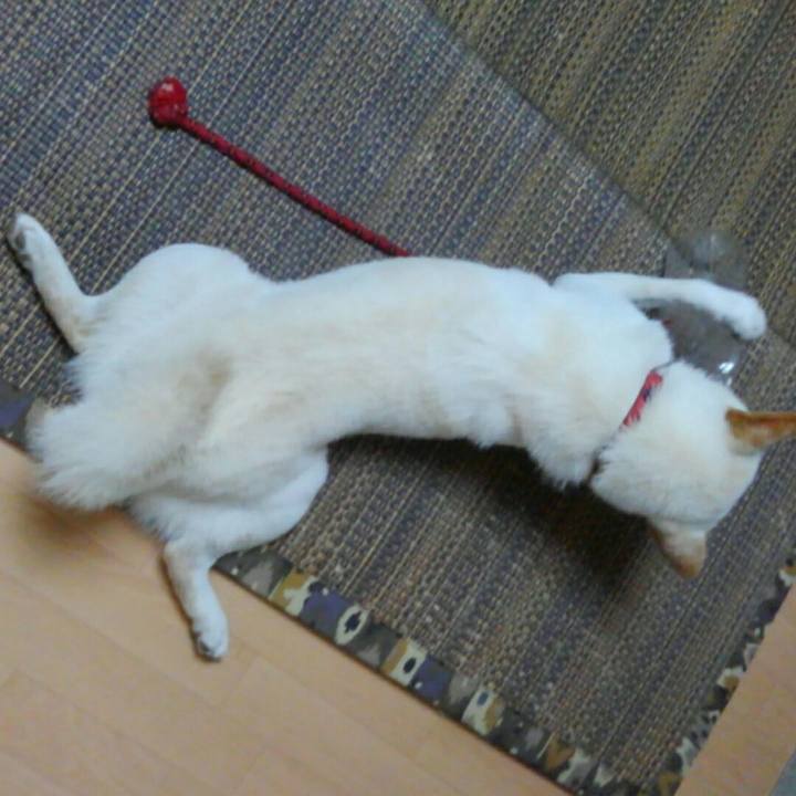 835f5ff4 2967 4a9f ac45 733841eb33ab