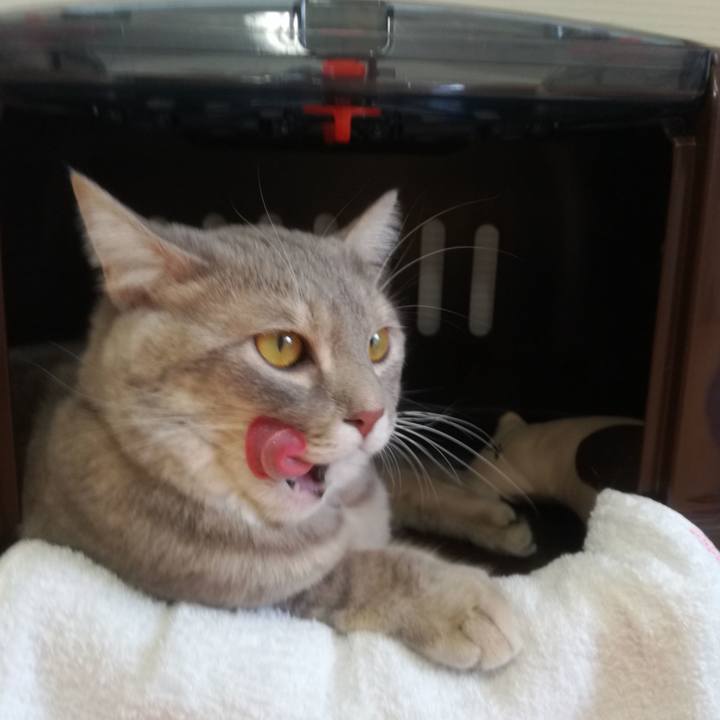 836006ee 24e3 404e 8ada 598a8cc99cac