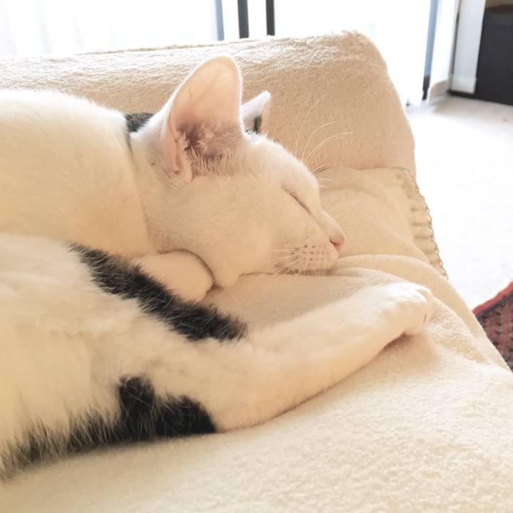 83602ad0 1b9b 4d3c 8c71 cdb88a0dda58