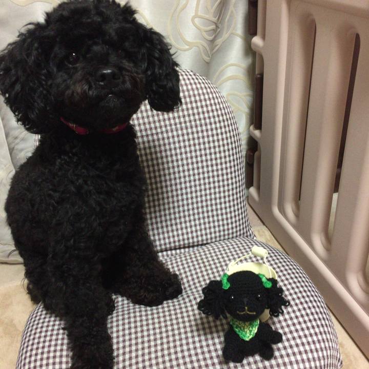 83607f11 8209 4be9 9234 9482a3a006ff