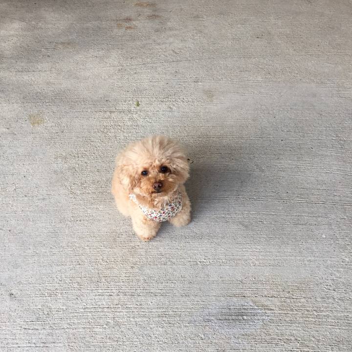 836136a1 55e1 4b84 8c95 6a7d980751b2