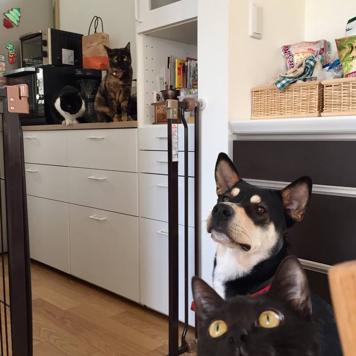 83615bfd 223b 4a6c bc71 f17911dd781d