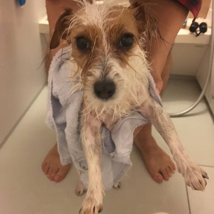 83618e55 3329 47fb 8c59 58b6ffc5b7c6