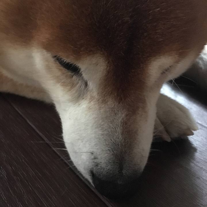 836218be 3a51 4737 891a 8609791b5dcc