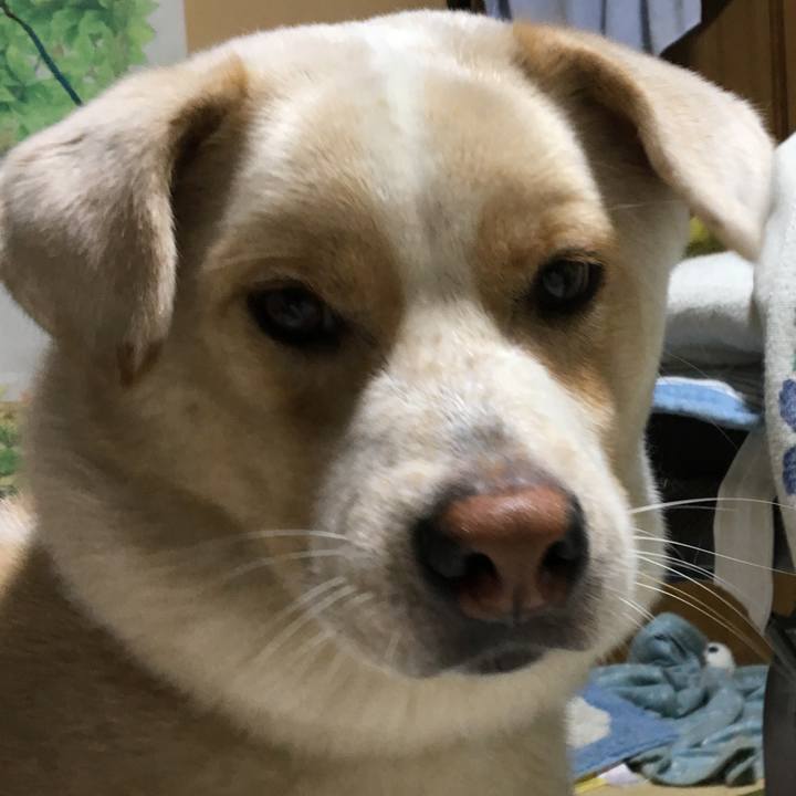 836254b5 ce44 4c3b 8777 4c3c842be143