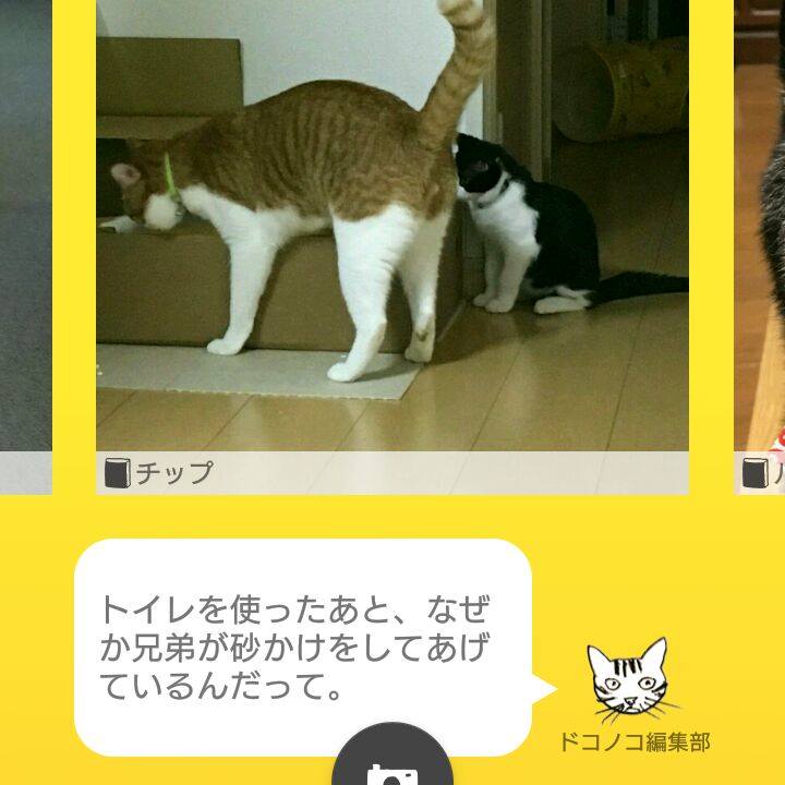 8362dcc1 2722 4e62 a0c0 b64a509e594b