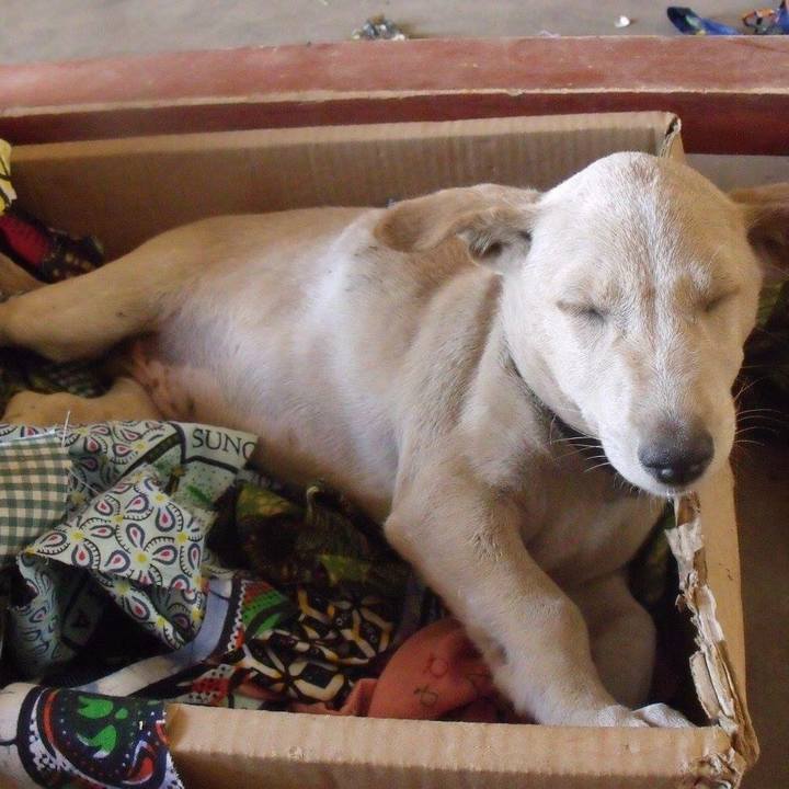 8362e330 fdb8 49ad b1d3 8adf995dcf1d