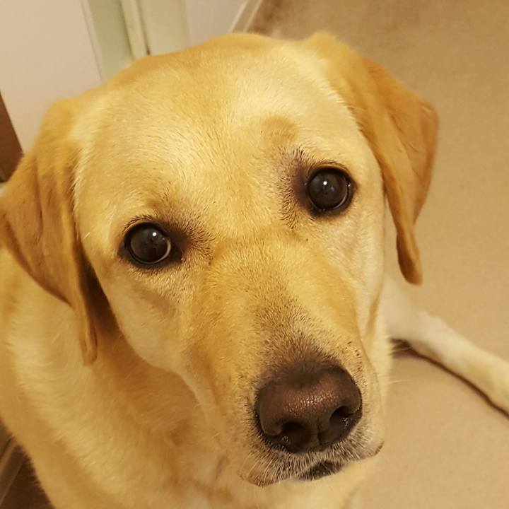 8362e7bb 0156 49bd 981b e020adaca0ed