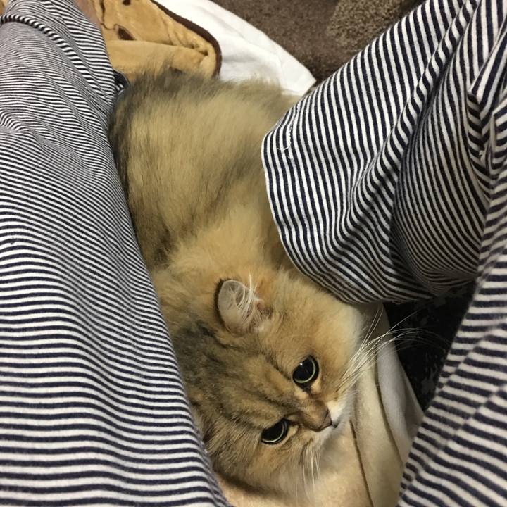 836328a2 5cdb 472f 934c 873ec92ba934