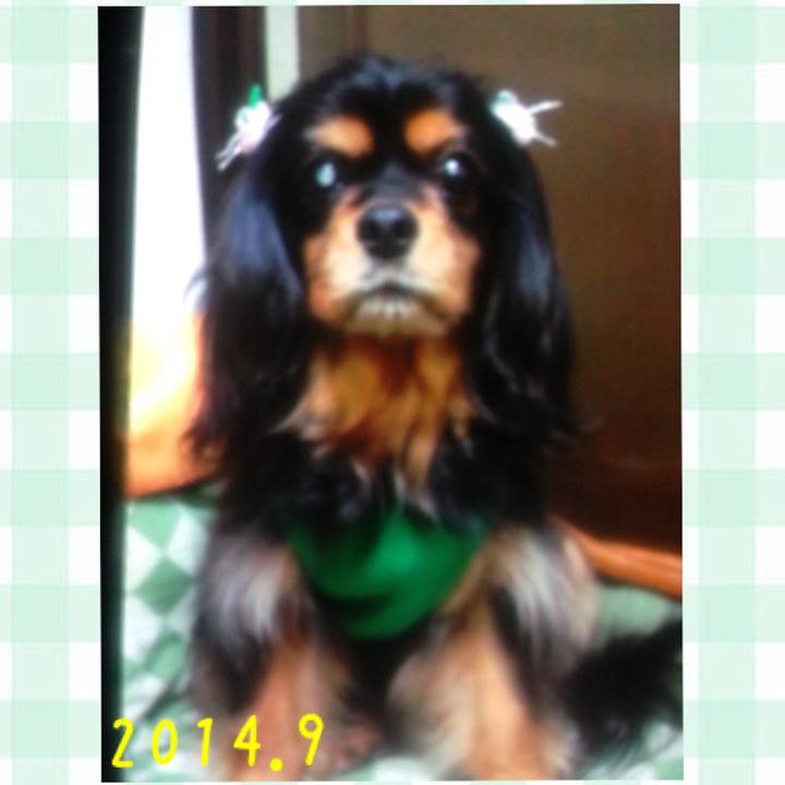 836345a3 5447 44da 93e0 d237f0b42794