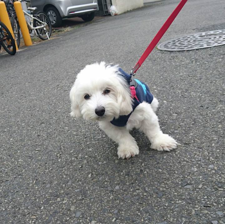 836358c5 ff2c 49dd a62f be27f1f7b00c