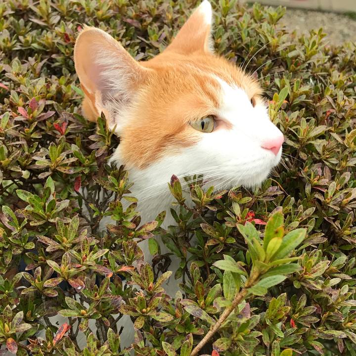 836370c2 1602 4b6f 83d9 efbf27c1d2e6