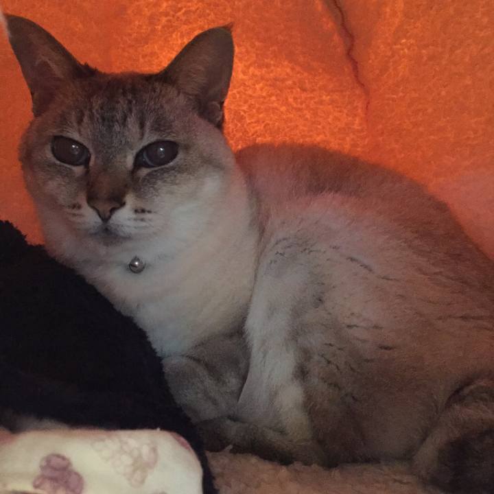 83639040 0002 4e0f 9732 0c1f5bc2fc9a