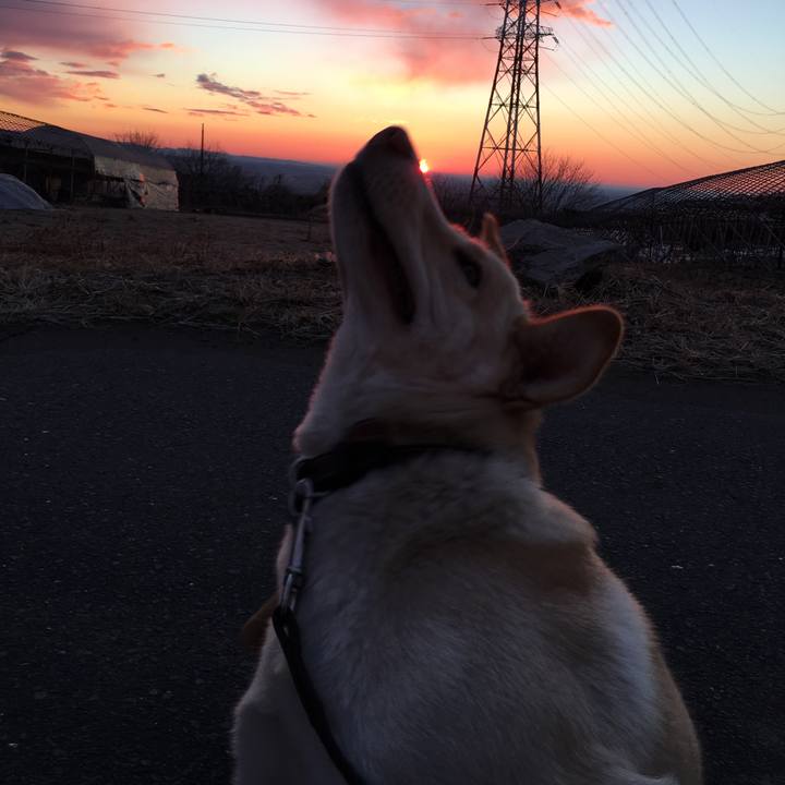 8363eac8 0a8e 445b 816c db4b04f1e6f1