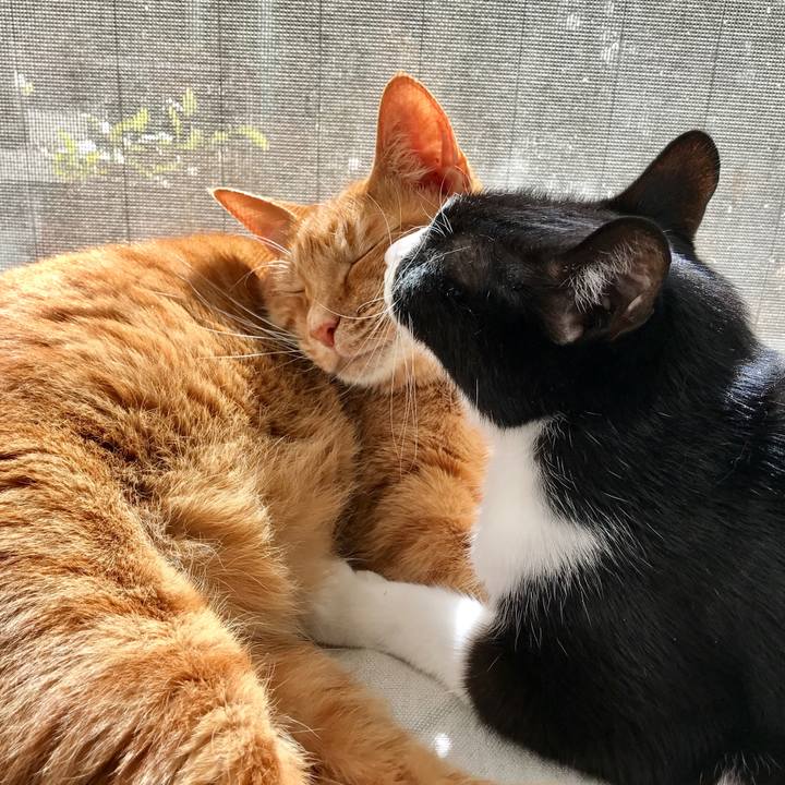 83645c59 b74e 437e a010 5df6fb2256c1