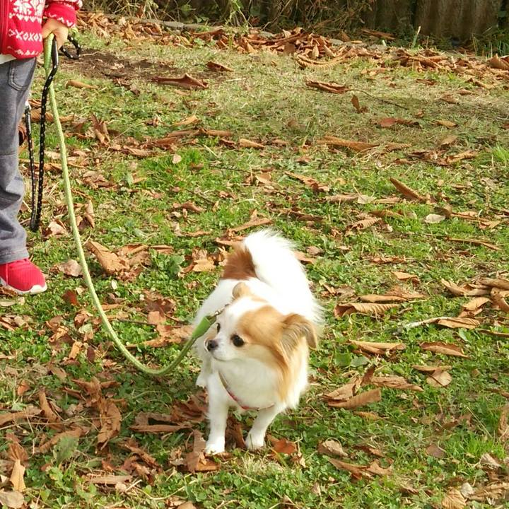 83649f08 1f68 48c6 97bc c89db1cc065f