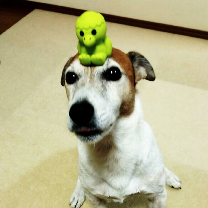 8364e7b8 6e40 4f09 a5a1 d9cd5dfac8bd