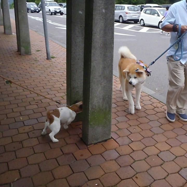 83650967 dee6 472c 9c3f 54b988ae5cbf