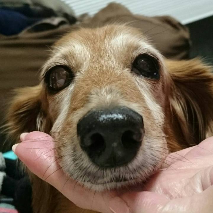 83652403 28f8 4dbb 98d3 ce48d760f229