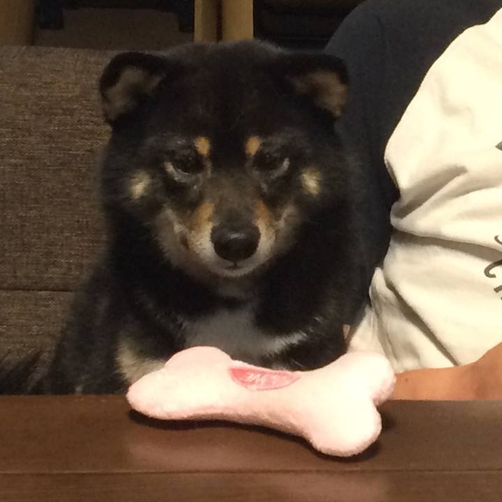 83655c88 7619 4164 bc95 ab27c19727fd