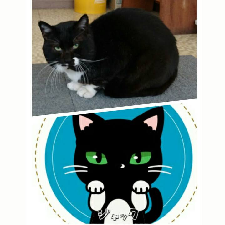 8365651b 5666 4f79 9772 ace721ccf9bd