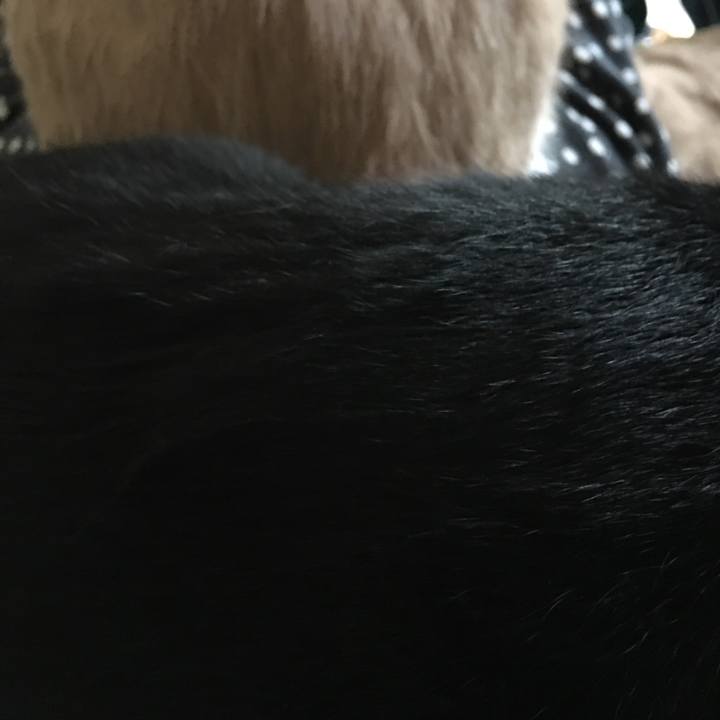 8365bc1c a008 47bc ad52 10c514ff54e7