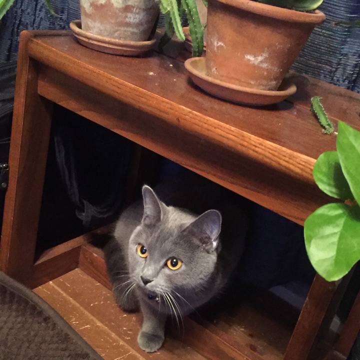 8365dd83 bedc 4d04 a746 3acc663e28b9