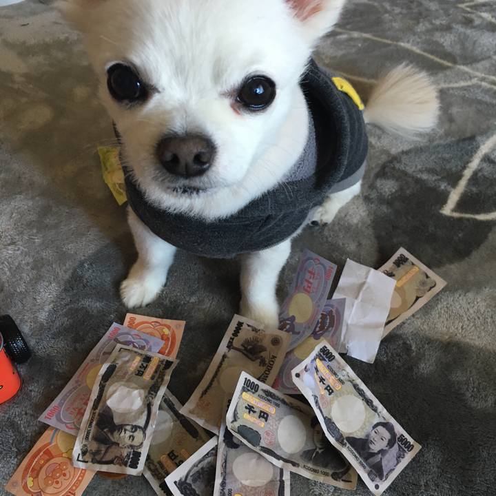 83660408 561a 4f2e 8c22 4e582e0d51ed