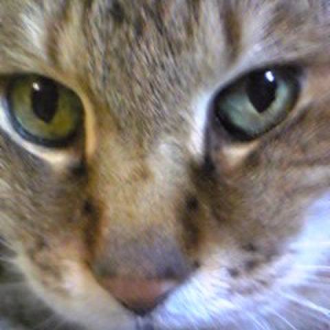 83662af5 c352 4287 a9b0 936303bf270c