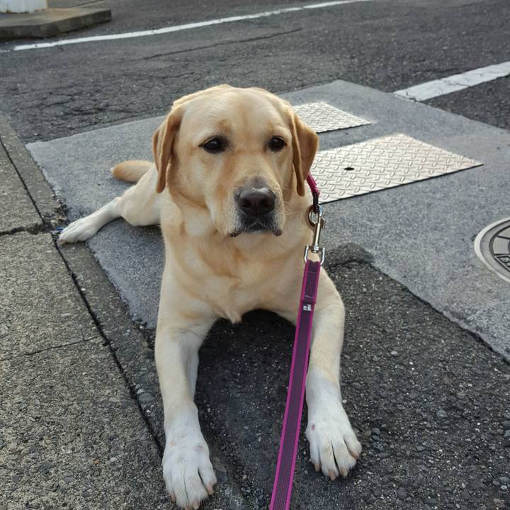 83665632 ff85 496c aeaa 4617973e1abd