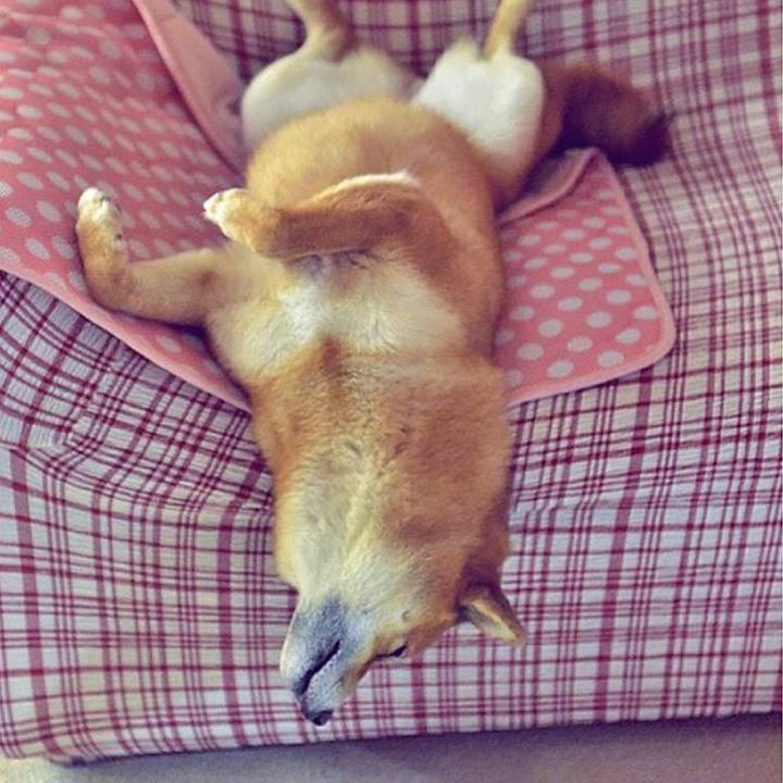 83669d06 d7a3 422d 97e1 386b4c7f6e2d