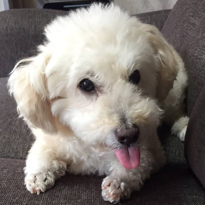 8367a2af b039 40f0 b17d 68a51ecff1d6