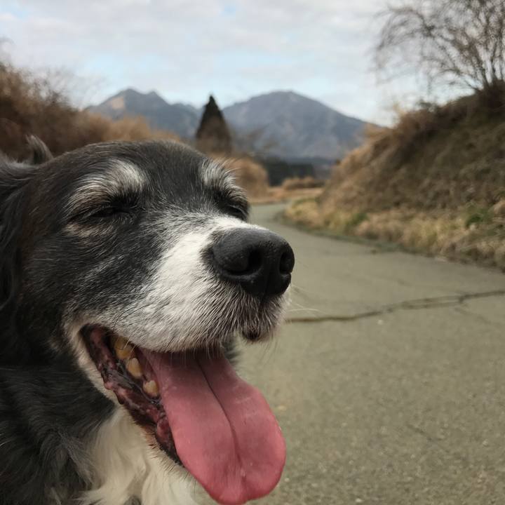 8367b35a 03da 41b4 8e94 6ae469ed995f