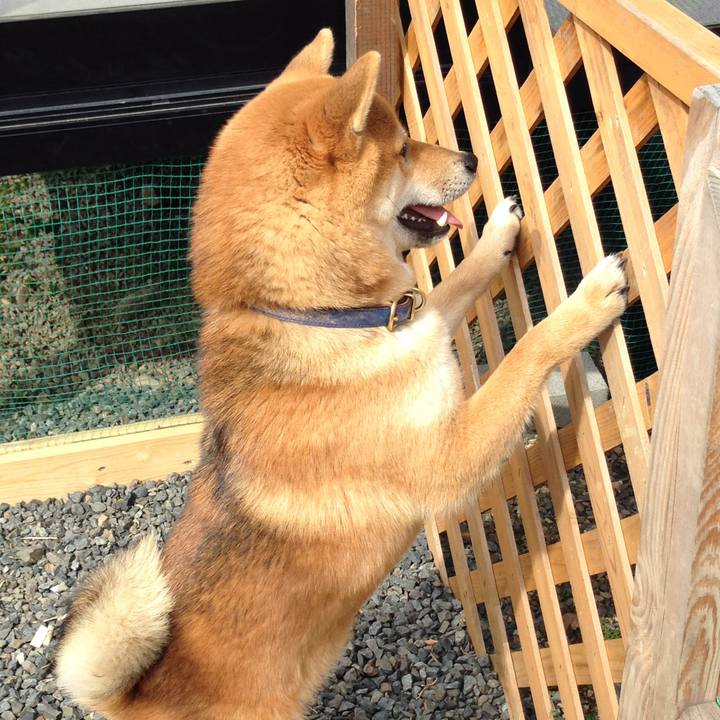 8368e56f 4a35 462d 93f8 a2e9a6aeadd8