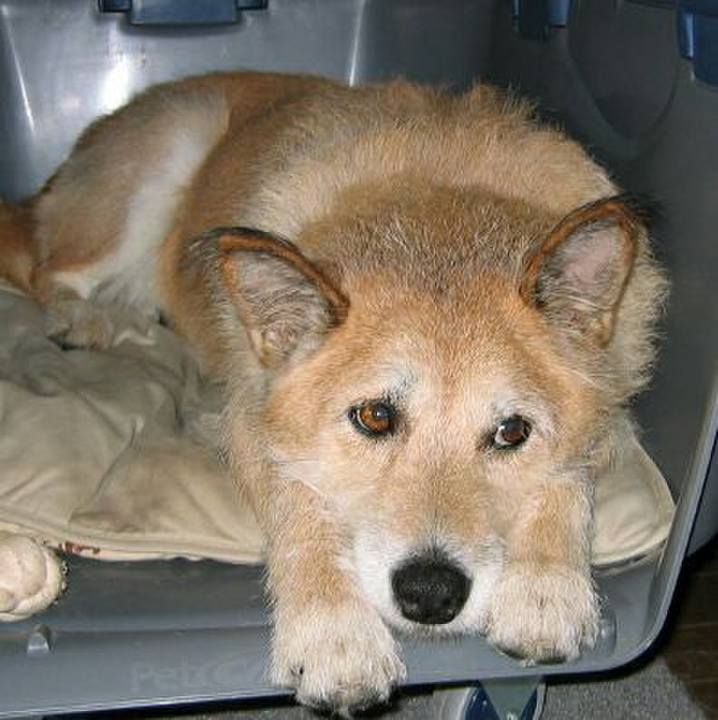 836919c1 8a3b 4cd1 9d95 b5b2b9a4206e