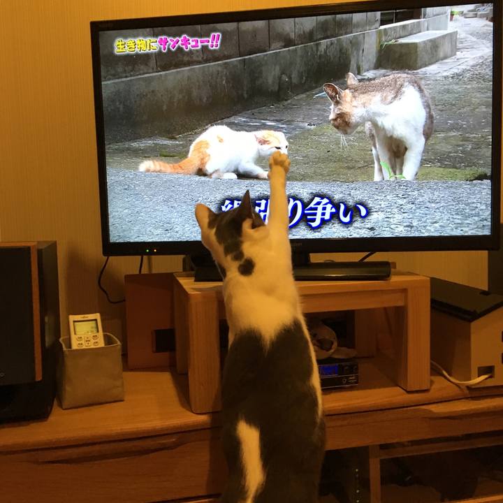 8369e256 f163 4b67 a280 d0ff2dd5c356