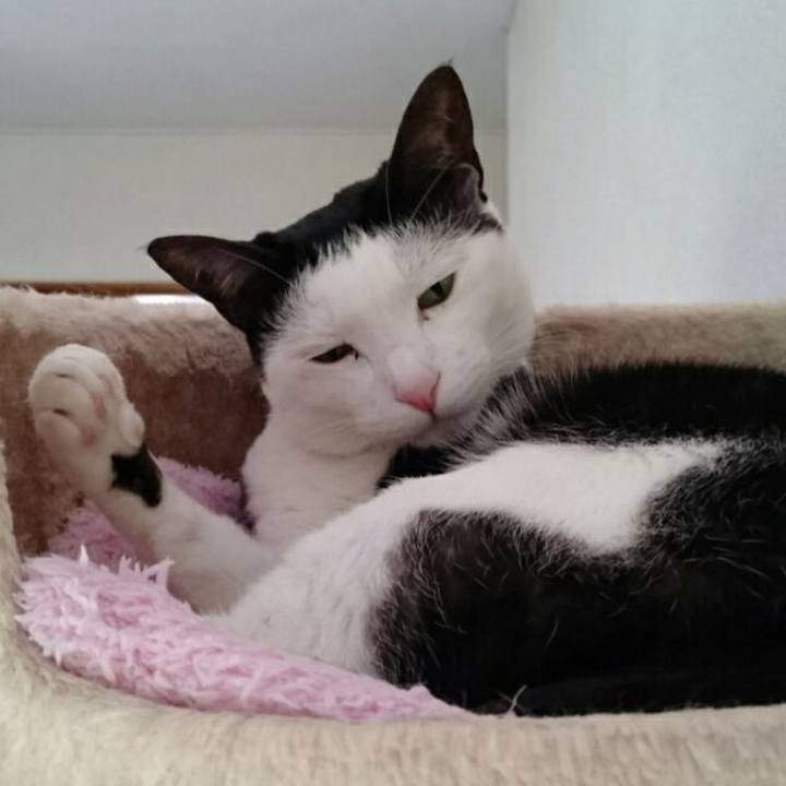 836a8414 07be 4f78 aa6a 651b89c74ca4