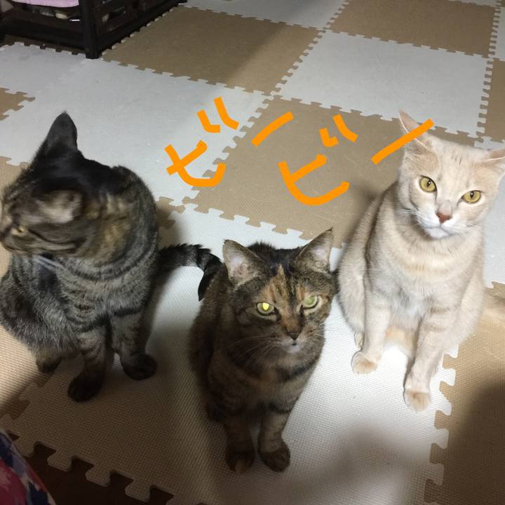 836ba99c 9aa4 4229 9a1d 31bf95a4b8d8