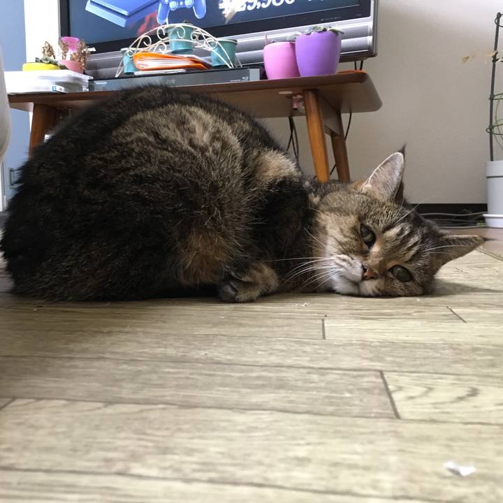 836bbdbd 6426 4234 a4e0 204872c5acea