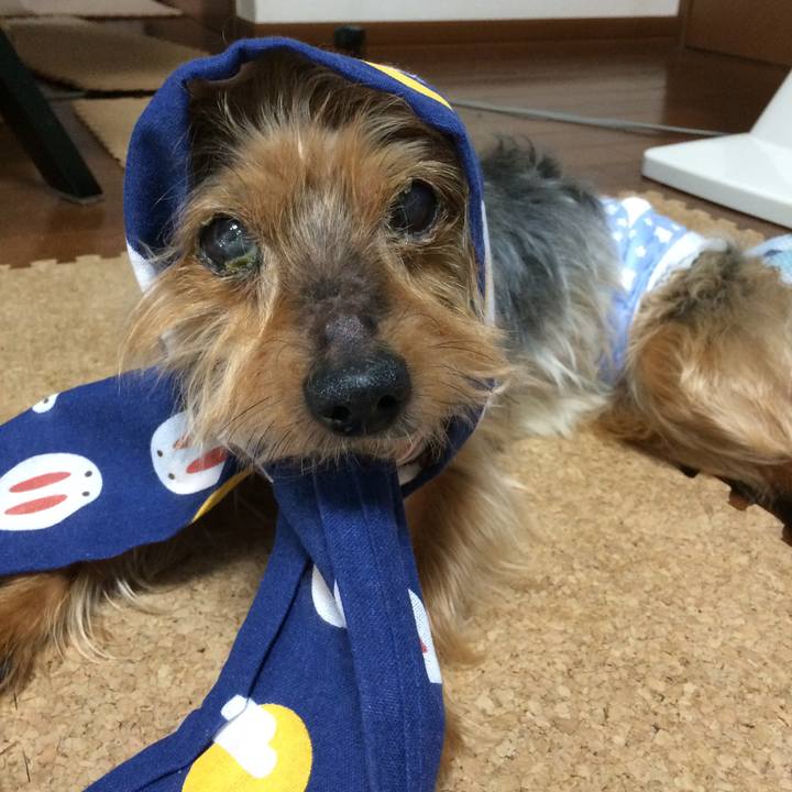 836bcf7c ebd0 495b 9d3f 0e119b14090e