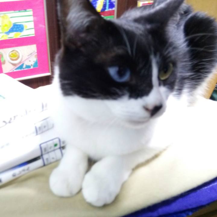 836bdb1b 6a28 4448 a919 27d7f7d8b799