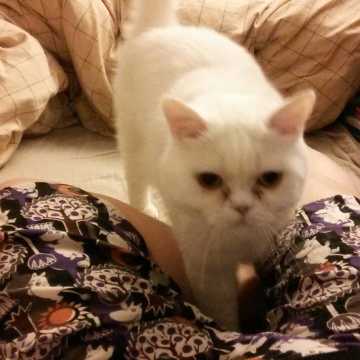 836c3184 b2cf 460a 9eab 066b138dbff9